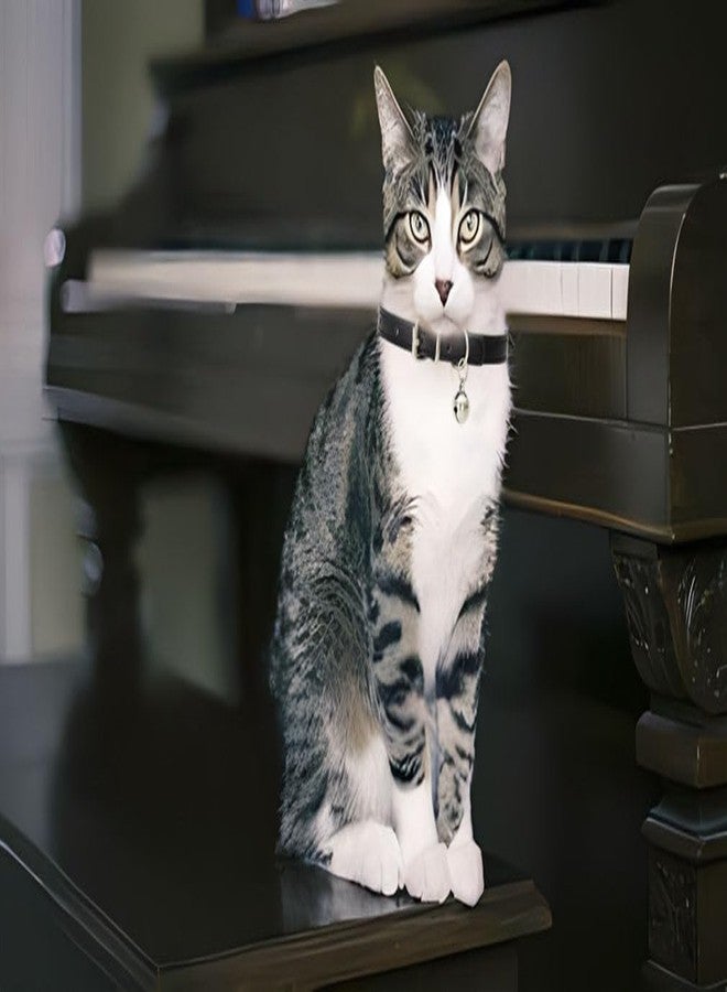 Weimostar Red XS Dog Collar with Bell, Soft Pu Leather Cat Collars Adjustable Buckle for XXS Extra Small Medium Tiny Female Male Boys Girls Pets Puppy Kitten Teacup Yorkie X-Small - Image 3